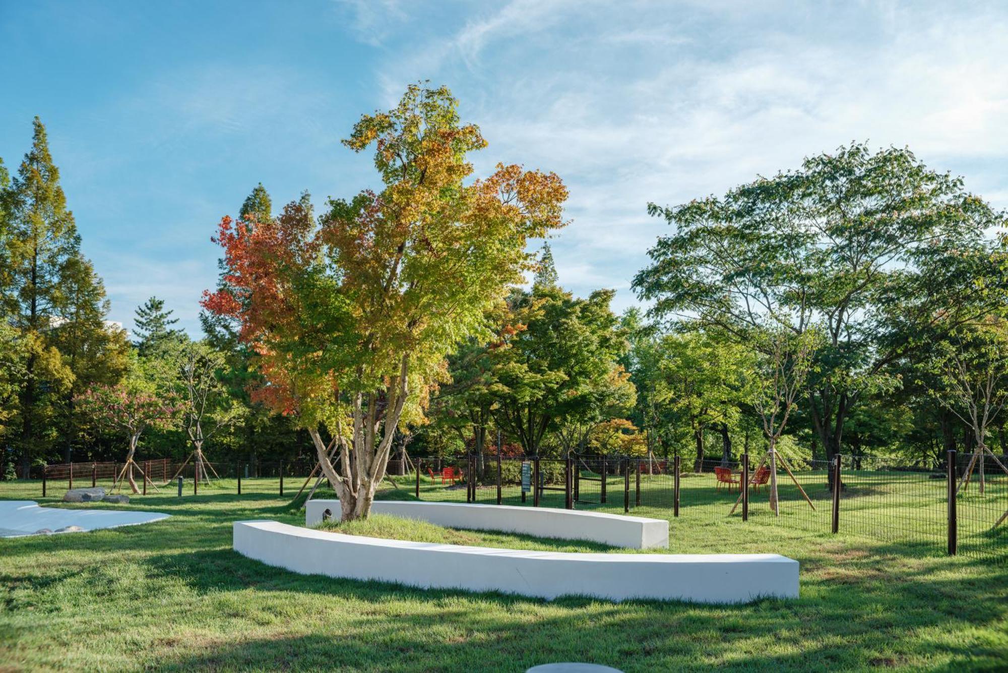 Kinock Hotel Gyeongju Buitenkant foto