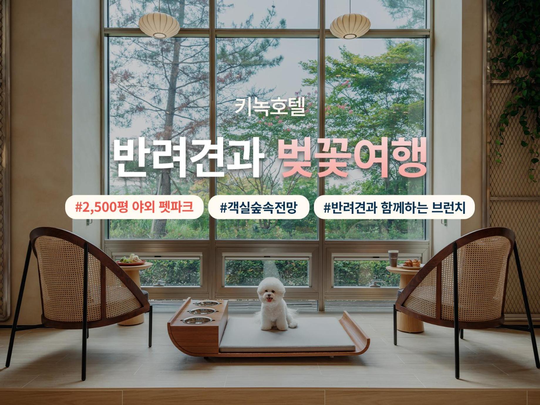 Kinock Hotel Gyeongju Buitenkant foto